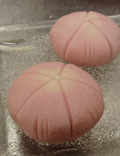 Ȃł